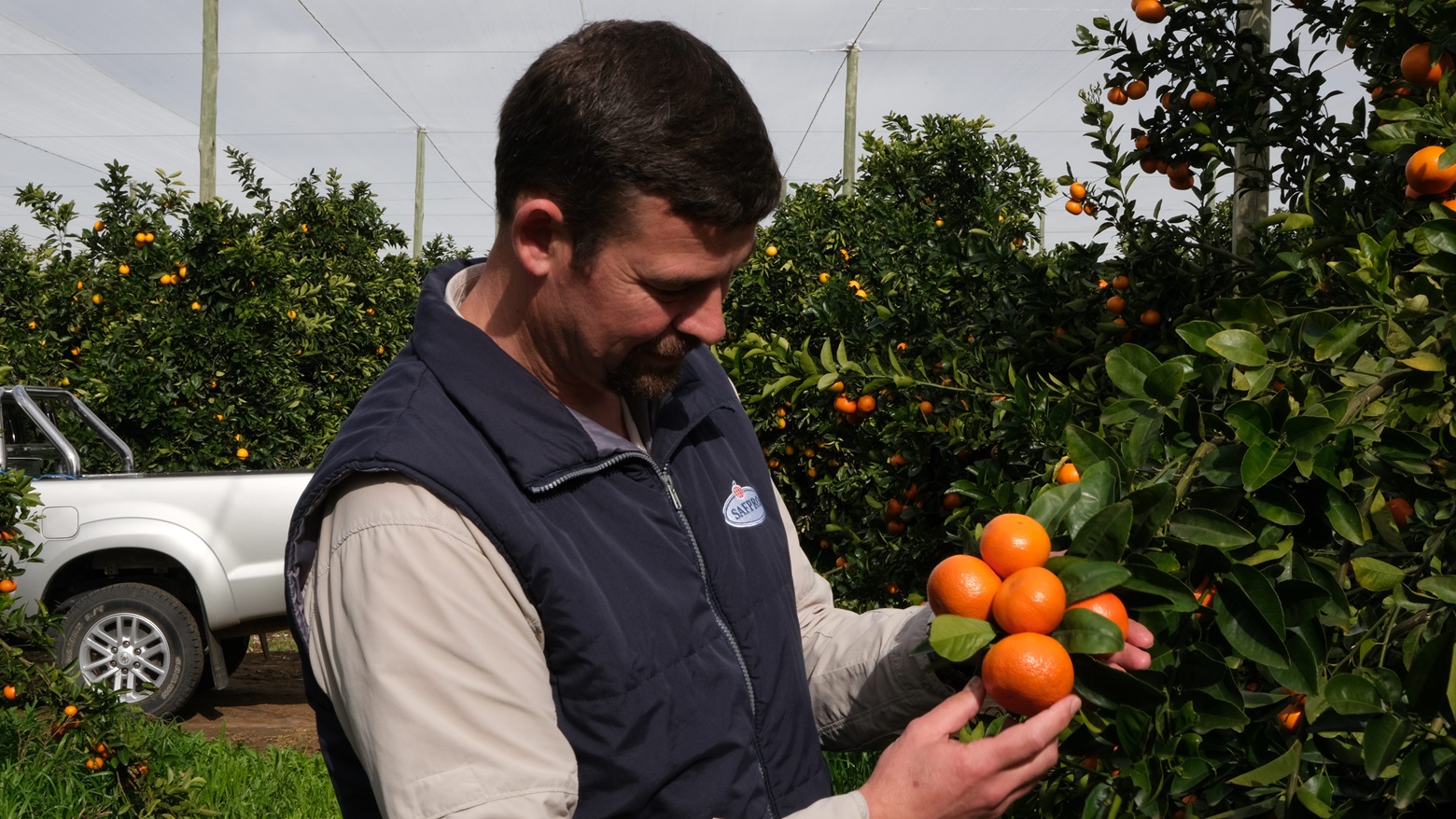 Citrus Leader Sitrusrand Expands Its Capacity And Opens Up New Selling